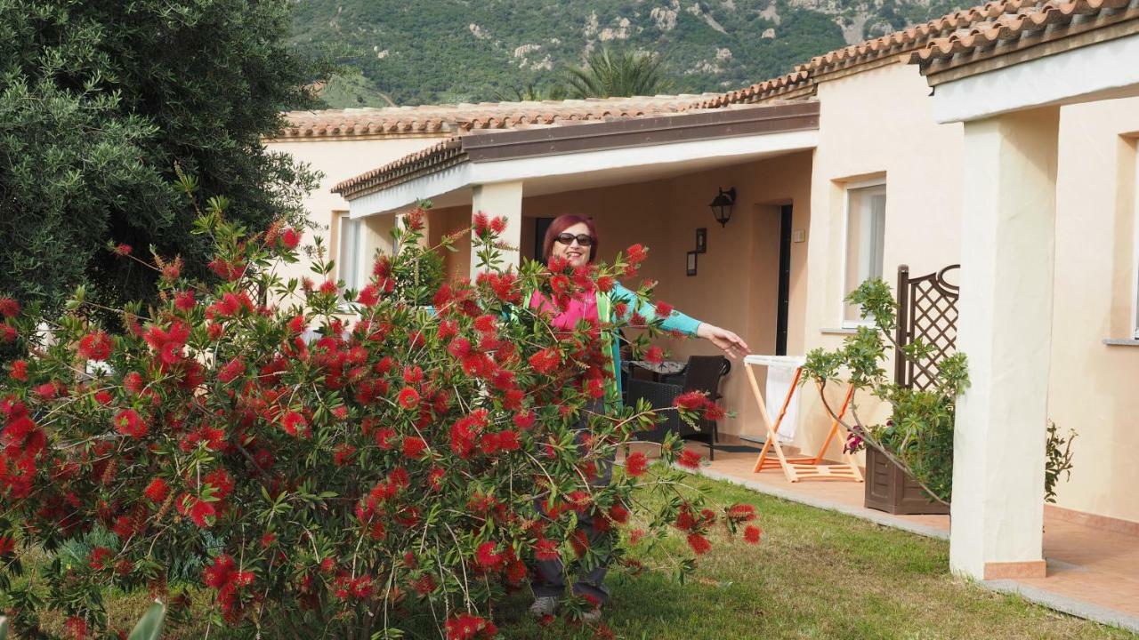 Sa Teria Village - Appartamenti - Tertenìa Exterior foto